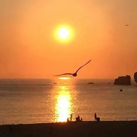 - The Little Star * Nazaré