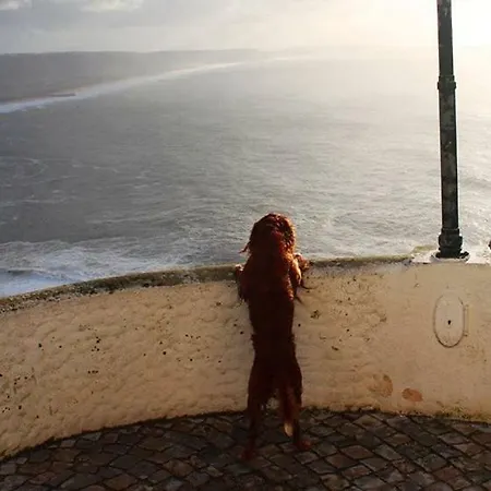 - The Little Star Сasa de vacaciones Nazaré
