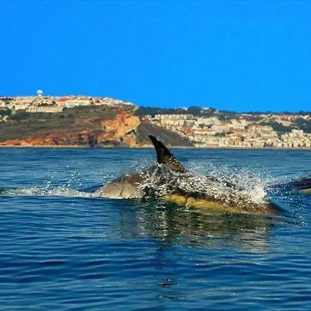 Сasa de vacaciones - The Little Star *