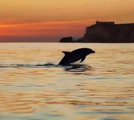 - The Little Star Сasa de vacaciones