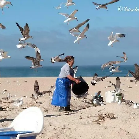 Сasa de vacaciones - The Little Star Nazaré