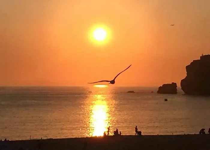 - The Little Star * ナザレ