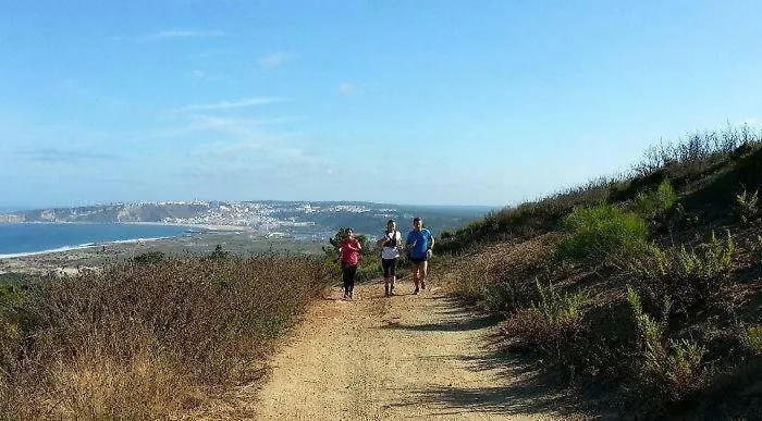 - The Little Star 別荘